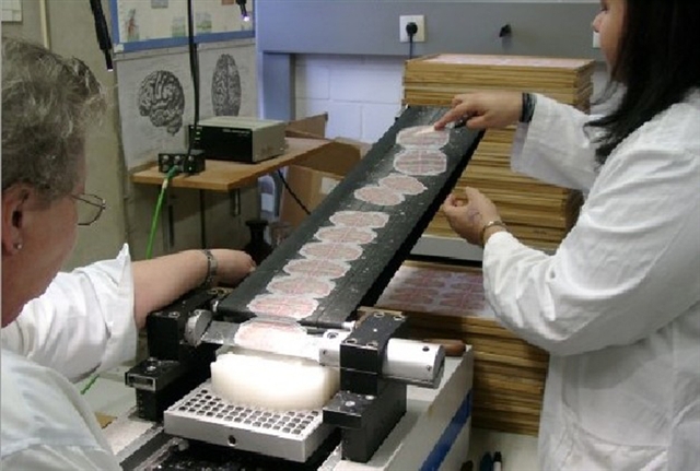 20141221611503302.jpg 20141221611503302.jpg